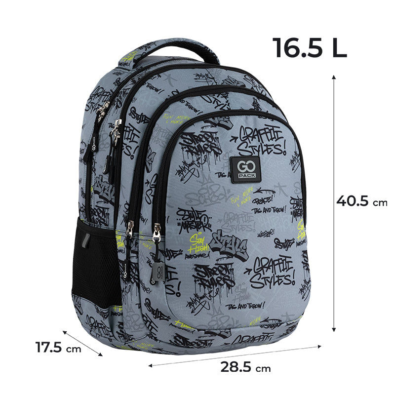 Рюкзак школьный GoPack Teens GO25-162M-4