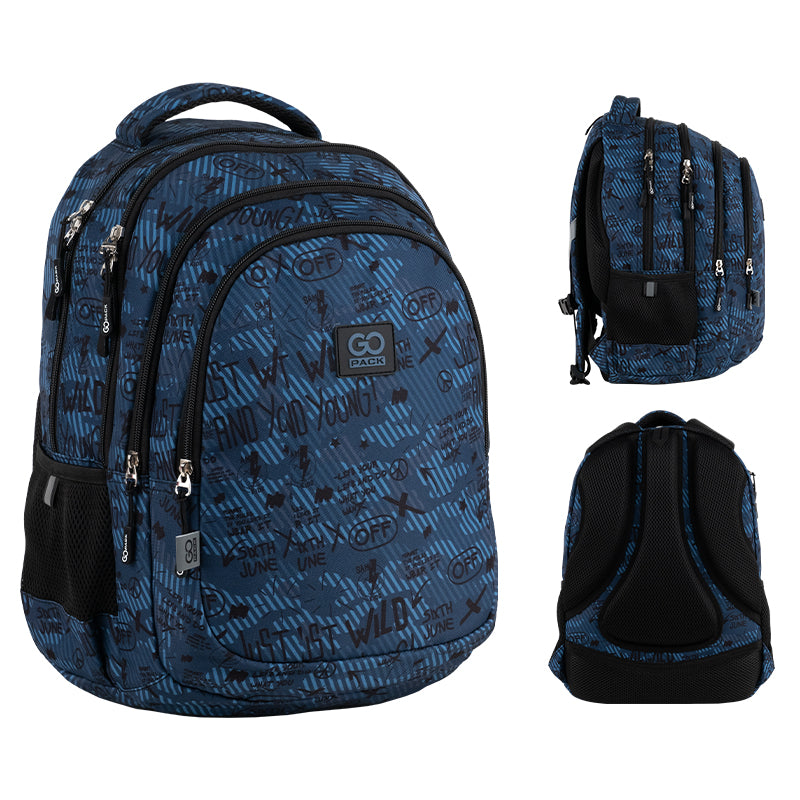 Рюкзак школьный GoPack Teens GO25-162M-5
