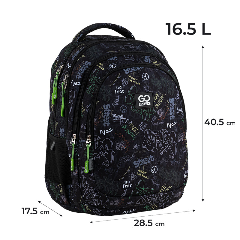 Рюкзак школьный GoPack Teens GO25-162M-6